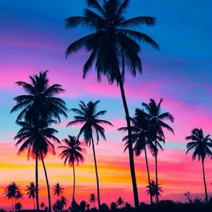 Meet your Posher, Sean